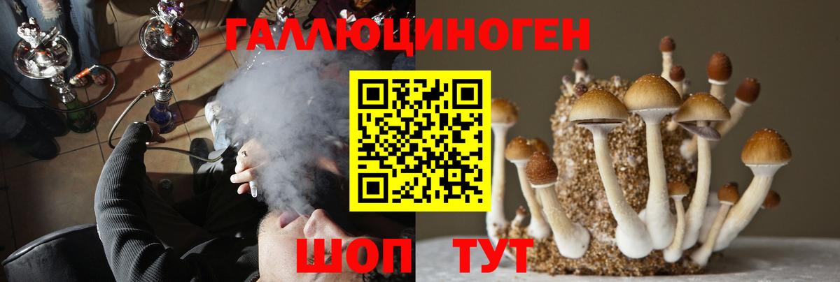 Псилоцибиновые грибы мухоморы  Вход с VPN  Сосновый Бор 